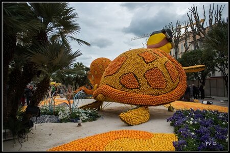 Festival Nenton 2014, 2014_02_Menton_06-21_GF
