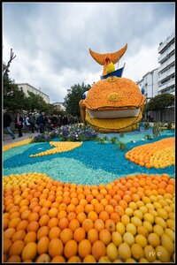 Festival Nenton 2014, 2014_02_Menton_06-37_GF