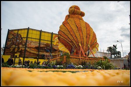Festival Nenton 2014, 2014_02_Menton_06-13_GF