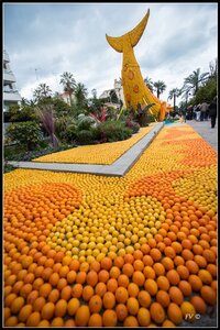 Festival Nenton 2014, 2014_02_Menton_06-41_GF