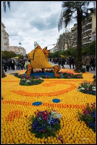 Festival Nenton 2014, 2014_02_Menton_06-39_GF
