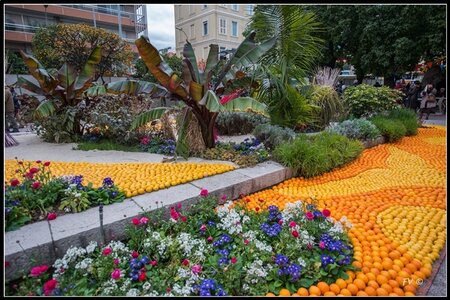 Festival Nenton 2014, 2014_02_Menton_06-43_GF