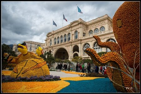 Festival Nenton 2014, 2014_02_Menton_06-19_GF