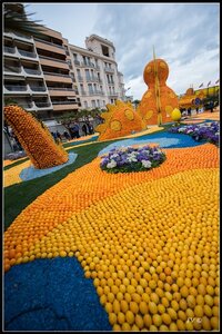 Festival Nenton 2014, 2014_02_Menton_06-66_GF