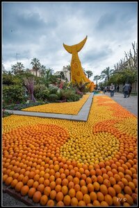 Festival Nenton 2014, 2014_02_Menton_06-42_GF