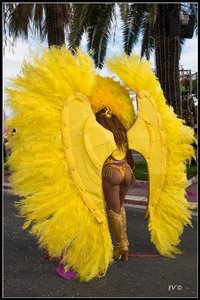 Festival_Nice_2014, 2014_02_Nice_Grasse-89_GF