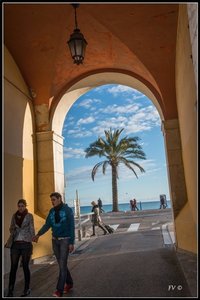 Festival_Nice_2014, 2014_02_Nice_Grasse-131_GF