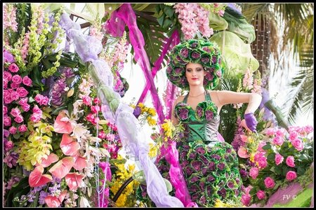 Festival_Nice_2014, 2014_02_Nice_Grasse-73_GF