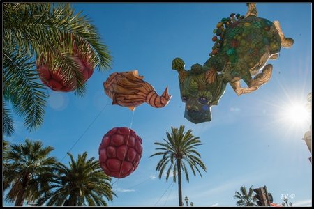 Festival_Nice_2014, 2014_02_Nice_Grasse-85_GF
