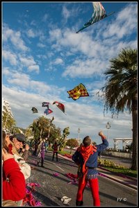Festival_Nice_2014, 2014_02_Nice_Grasse-117_GF