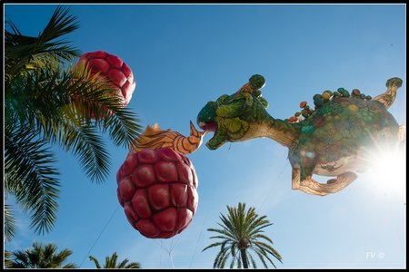 Festival_Nice_2014, 2014_02_Nice_Grasse-86_GF