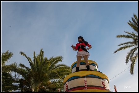 Festival_Nice_2014, 2014_02_Nice_Grasse-79_GF
