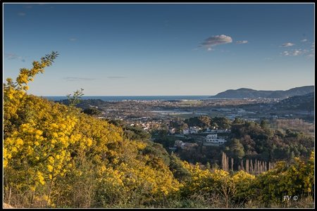 Festival_Nice_2014, 2014_02_Nice_Grasse-217_GF