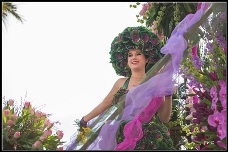 Festival_Nice_2014, 2014_02_Nice_Grasse-72_GF
