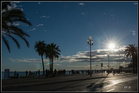 Festival_Nice_2014, 2014_02_Nice_Grasse-130_GF
