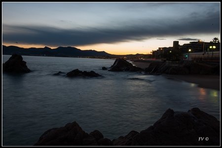 Festival_Nice_2014, 2014_02_Nice_Grasse-277_GF