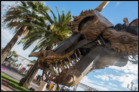 Festival_Nice_2014, 2014_02_Nice_Grasse-115_GF