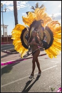 Festival_Nice_2014, 2014_02_Nice_Grasse-106_GF