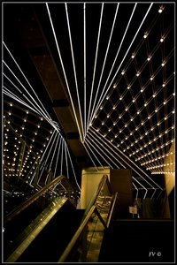 Festival_Nice_2014, 2014_02_Nice_Grasse-12_GF