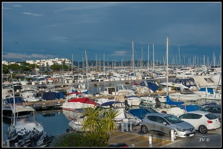 Festival_Nice_2014, 2014_02_Nice_Grasse-246_GF