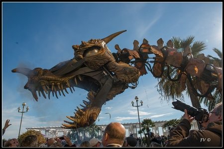 Festival_Nice_2014, 2014_02_Nice_Grasse-83_GF
