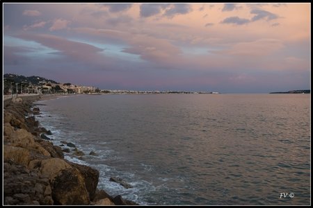 Festival_Nice_2014, 2014_02_Nice_Grasse-262_GF