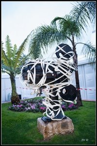 Festival_Nice_2014, 2014_02_Nice_Grasse-27_GF