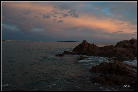 Festival_Nice_2014, 2014_02_Nice_Grasse-268_GF