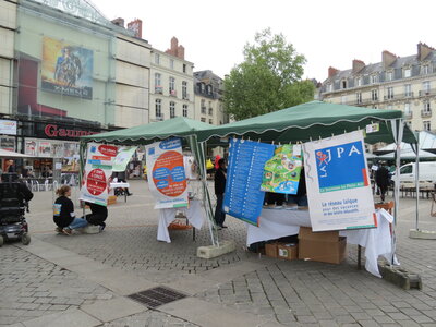 Jeunesse solidaire, IMG_2840