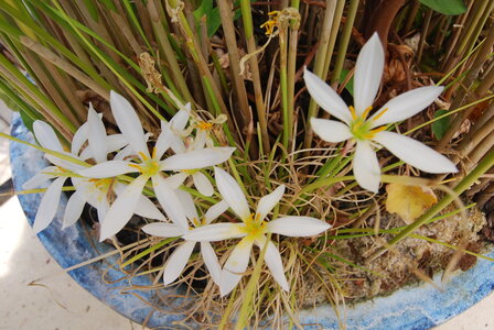 Le spectacle de la natures est toujours beau..., DSC_5368