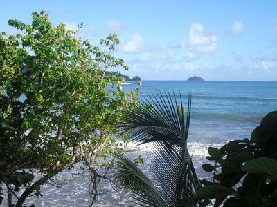 Martinique, CIMG3475