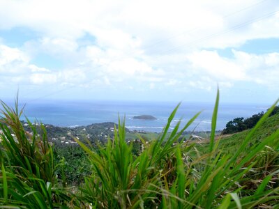 Martinique, Cimg3357