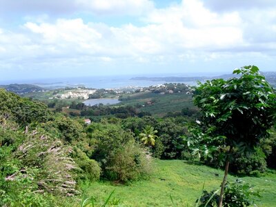 Martinique, Cimg3371