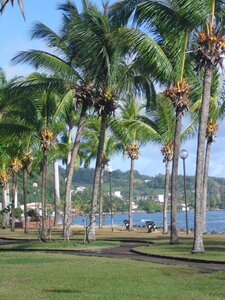 Martinique, Cimg3487