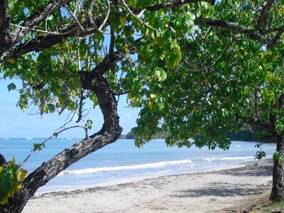 Martinique, Cimg3502
