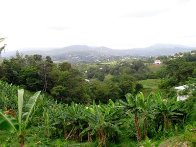 Martinique, Cimg3354