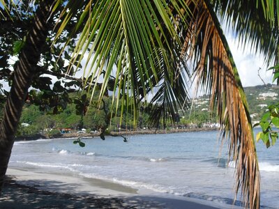 Martinique, Cimg3493