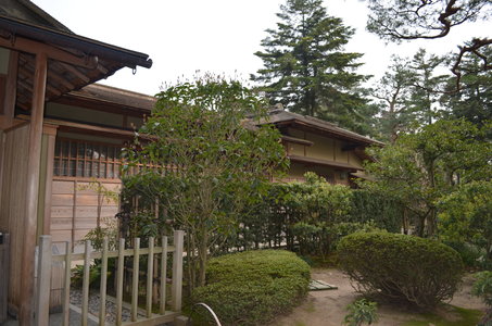 Océane, 025-Le jardin de la Maison de thé