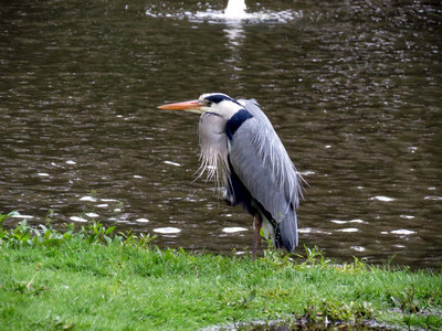 Amsterdam, IMG_2975