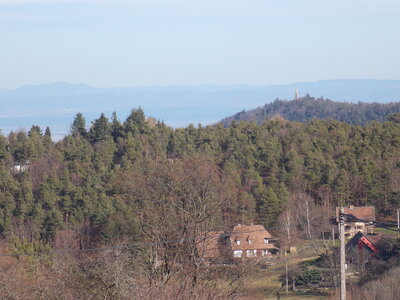 Labaroche et ces lieux dits 'en Alsace), Labaroche et ces lieux dit Orbey et les Alpes vue des 3 epis en 100