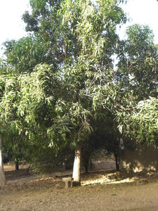 photos océ, CIMG3900
