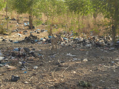 photos océ, CIMG3920