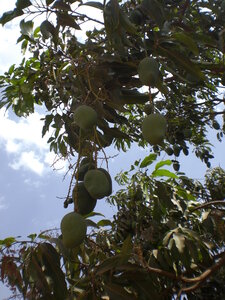 photos océ, CIMG3886