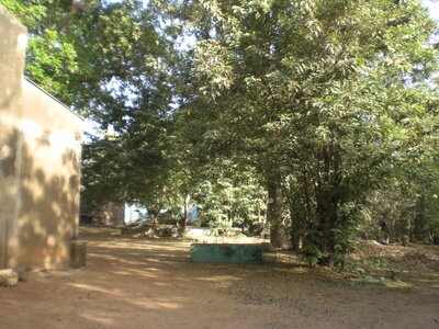 photos océ, CIMG3892