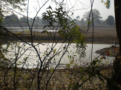 photos océ, CIMG3898