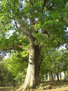 photos océ, CIMG3894