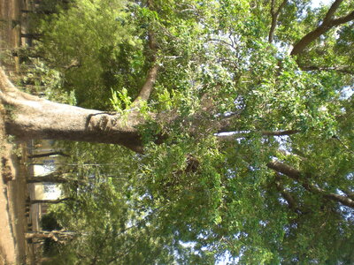 photos océ, CIMG3891