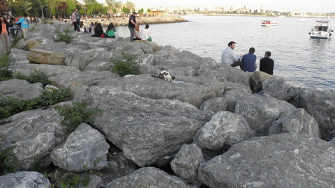 Istanbul cats, P1010240