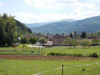 Marche populaire d'Osenbach dans le haut rhin le 31/05/2014, DSCN1242