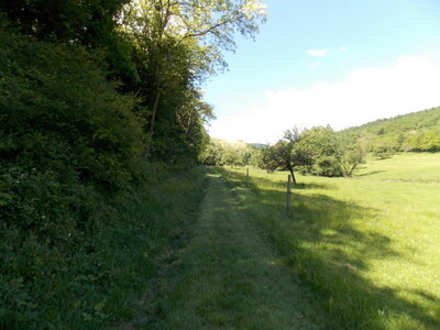 Marche populaire d'Osenbach dans le haut rhin le 31/05/2014, DSCN1252